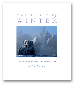 TM_Spirit of Winter_Cover