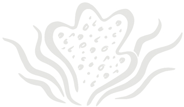 Baudelaire_Sponge logo
