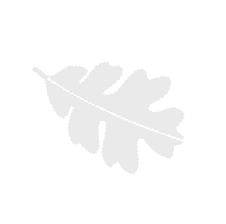 TNC_oak leaf logo